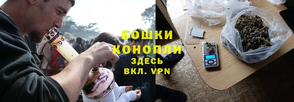 бошки Новозыбков