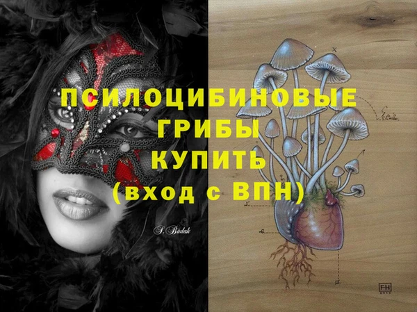 мдпв Новодвинск