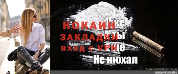 бошки Новозыбков
