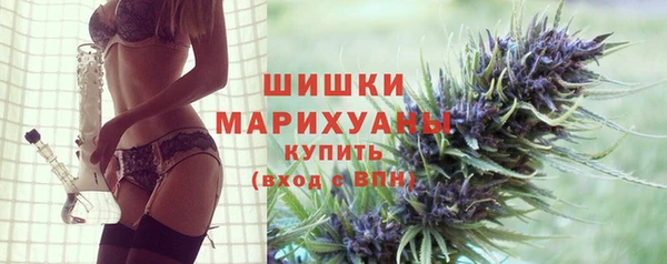 бошки Новозыбков