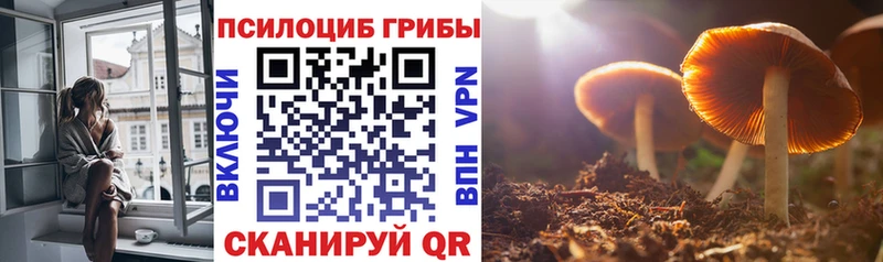 продажа наркотиков  Кузнецк  Галлюциногенные грибы Psilocybine cubensis 