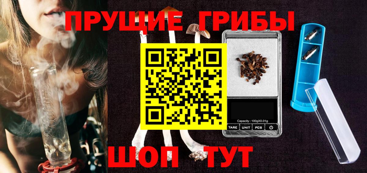 Кузнецк  наркота  Вход с VPN  Галлюциногенные грибы Psilocybine cubensis 