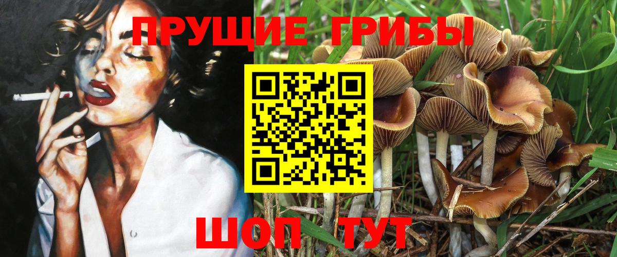 Галлюциногенные грибы MAGIC MUSHROOMS Кузнецк