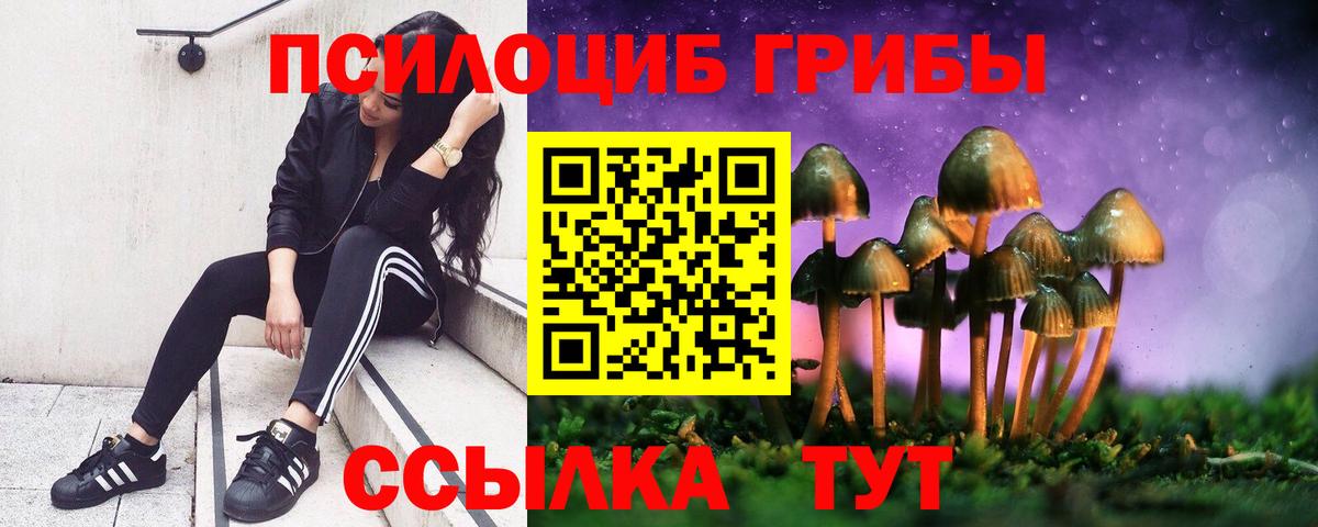 Галлюциногенные грибы Psilocybe  Галлюциногенные грибы мицелий  Вход с VPN  Кузнецк 